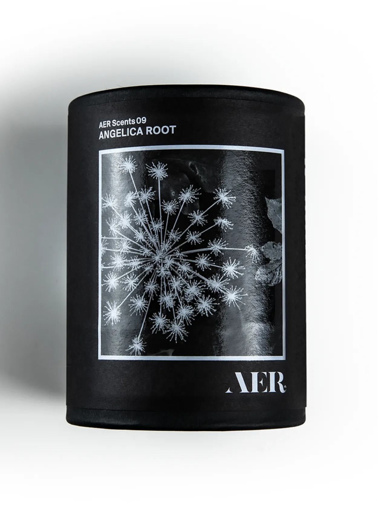 09, Angelica Root - RAER