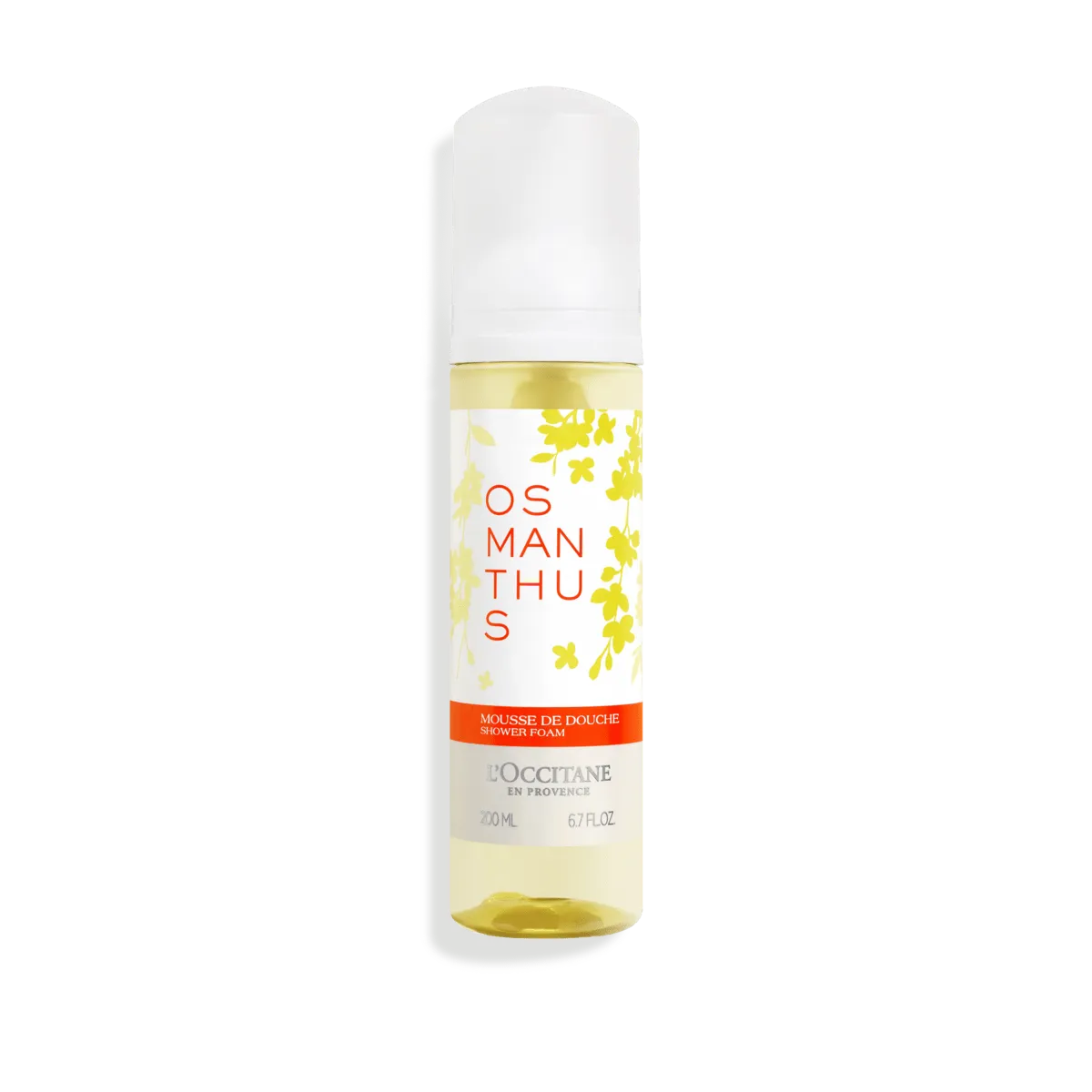 Duo putos Osmanthus“