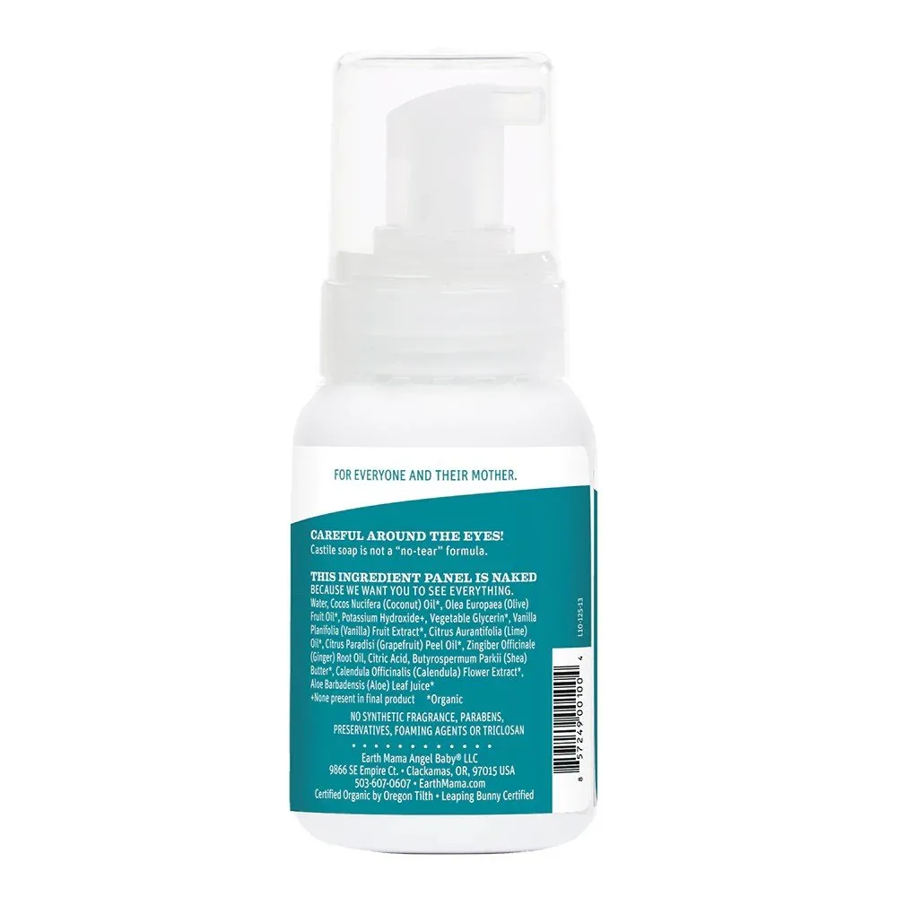 Earth Mama Organics Ginger Fresh Body Wash 5.3 oz Liquid