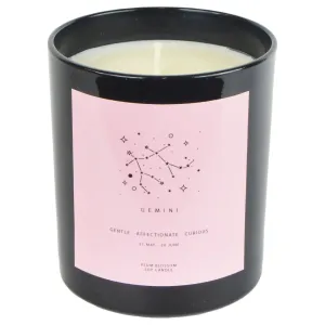 Plum Blossom Black & Pink Zodiac Description Candle